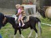 Buchlov koně- Sára a Natálka